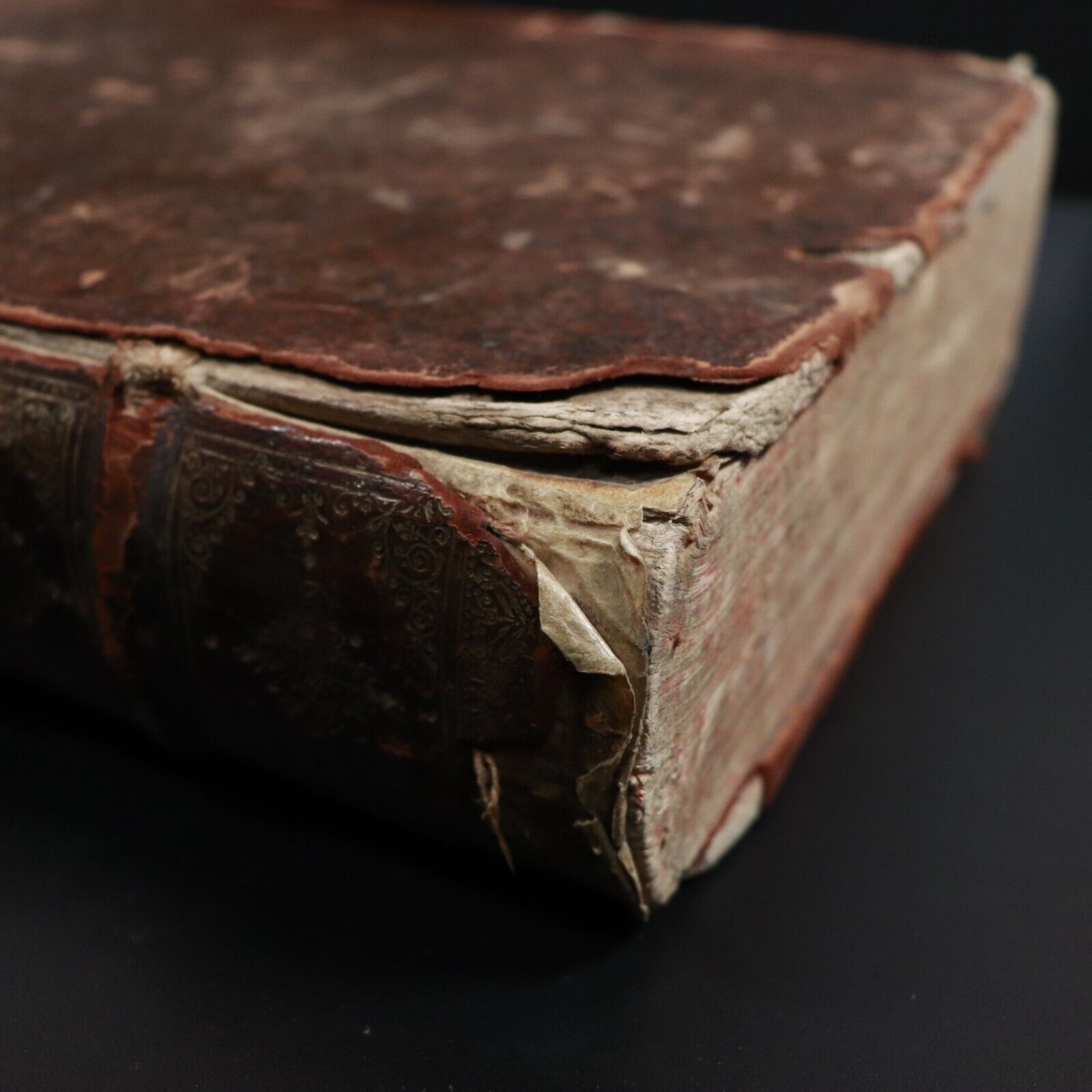 87fa4993-e37b-4ed9-8853-b4bcf9588cac