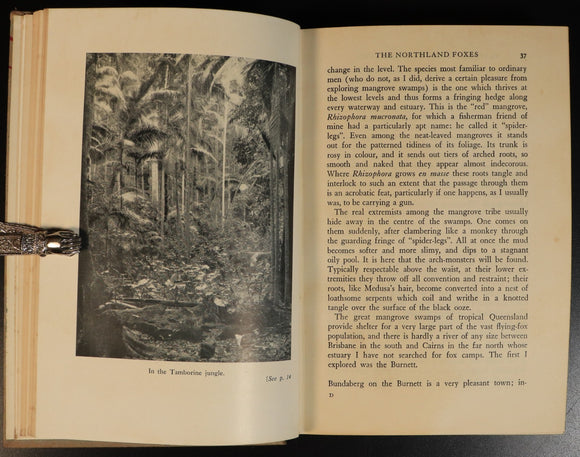 8877c9ae-89c6-439c-9501-9d5fab31597e