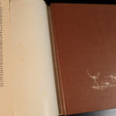 88b20277-d640-4a52-b586-0d5147ff5c2a