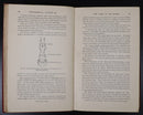 1946 The Topographical Anatomy Of The Limbs Of The Horse Antique Reference Book-7