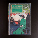 c1910 A Little Aversion by Tasman Illustrated Australian Fiction Book-2