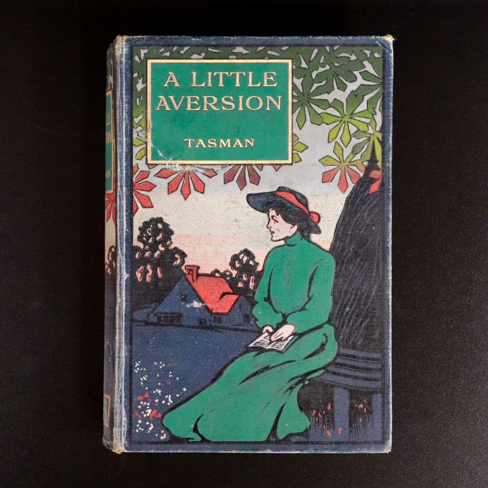 c1910 A Little Aversion by Tasman Illustrated Australian Fiction Book - 0