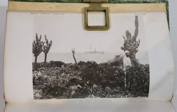 891679ee-8d2b-418d-9ab4-5df969d951ed