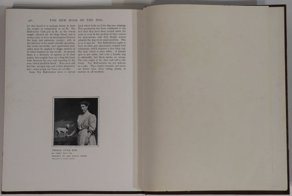 8985cefe-1b15-4289-8a26-e2693613b928