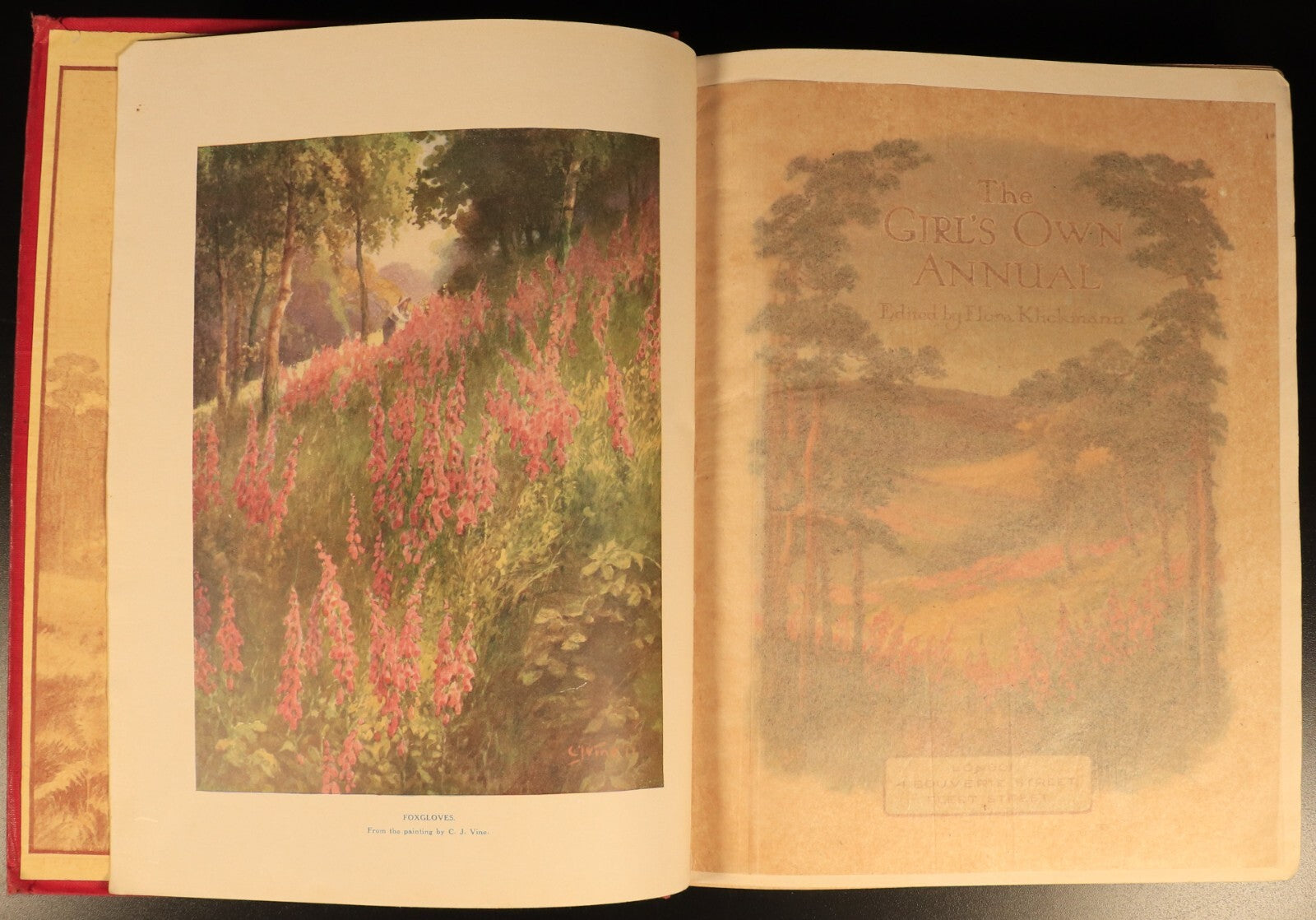 The Girls Own Annual 1917 Antique British Illustrated Girls Book Volume 38