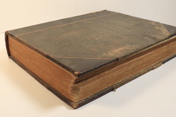 8bff8fa8-612b-44c1-9b5c-6b4dc3394692