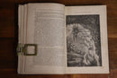 1870 The Book Of Nature & Of Man by C Napier Antique Science & Nature Book-5