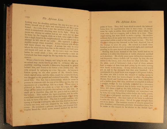 8d07740e-cba2-4d4e-ad96-8554cd06ca2f