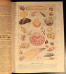 Chums 1919 Illustrated Paper For Boys Antique Illustrated British Childrens Book-11