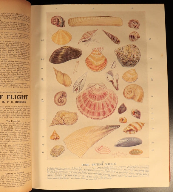 Chums 1919 Illustrated Paper For Boys Antique Illustrated British Childrens Book