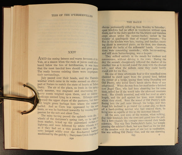 8d818cae-17c6-4b13-a32b-3e1f95f8a179