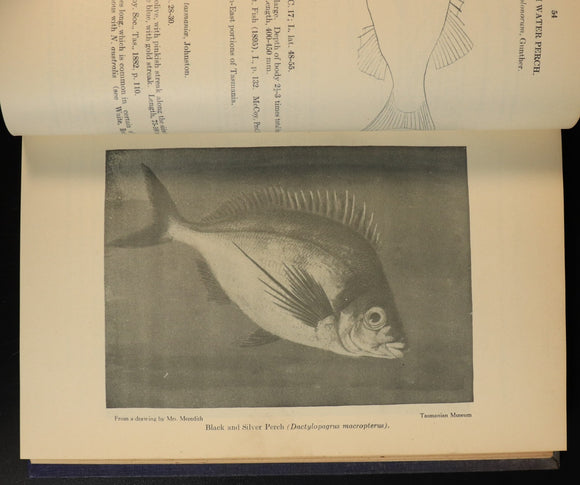 8dce7950-b699-4513-9c89-7d170a942f04