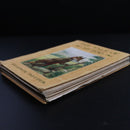 8dd8d444-f57a-4525-ae89-898eb97ce582