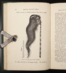 1883 Log-Book Of A Fisherman & Zoologist F Buckland Antique Natural History Book-8