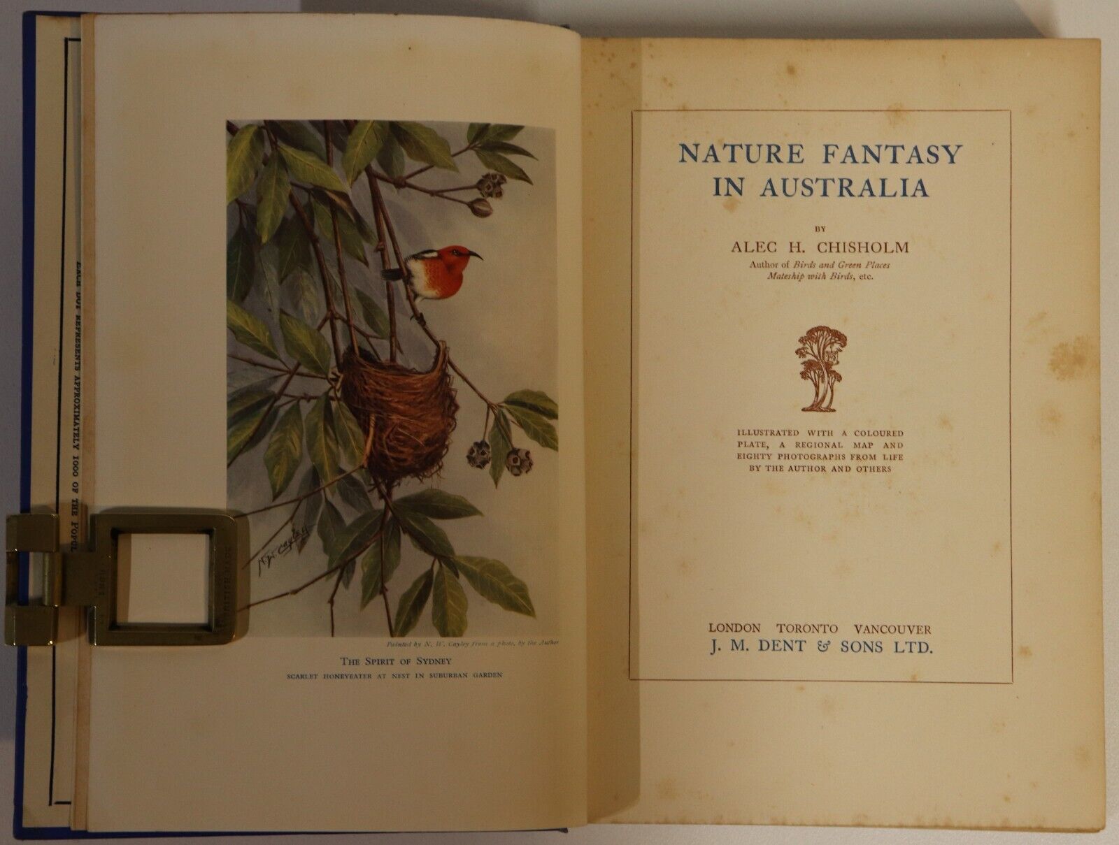 1932 Nature Fantasy In Australia by AH Chisholm Antique Natural History Book - 0