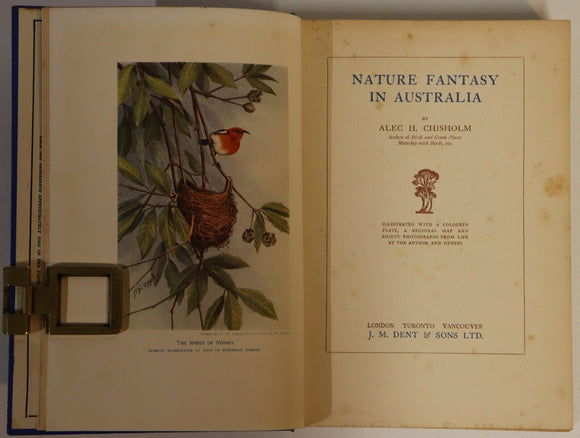 1932 Nature Fantasy In Australia by AH Chisholm Antique Natural History Book