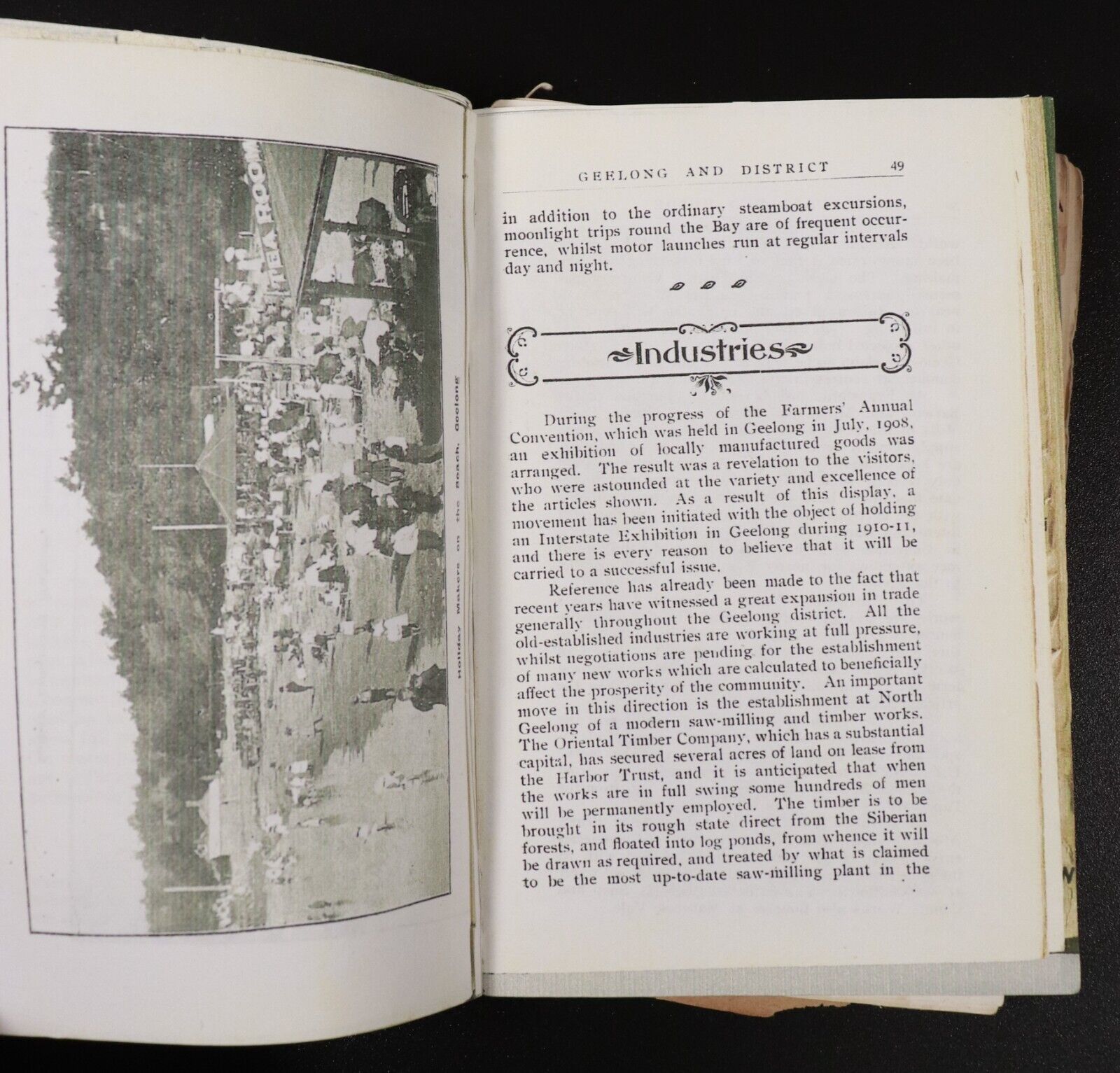 1908 Illustrated Guide To Geelong & District Australian Antique History Book