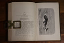 1889 The Island Home or The Young Castaways Antique Adventure Fiction Book-5