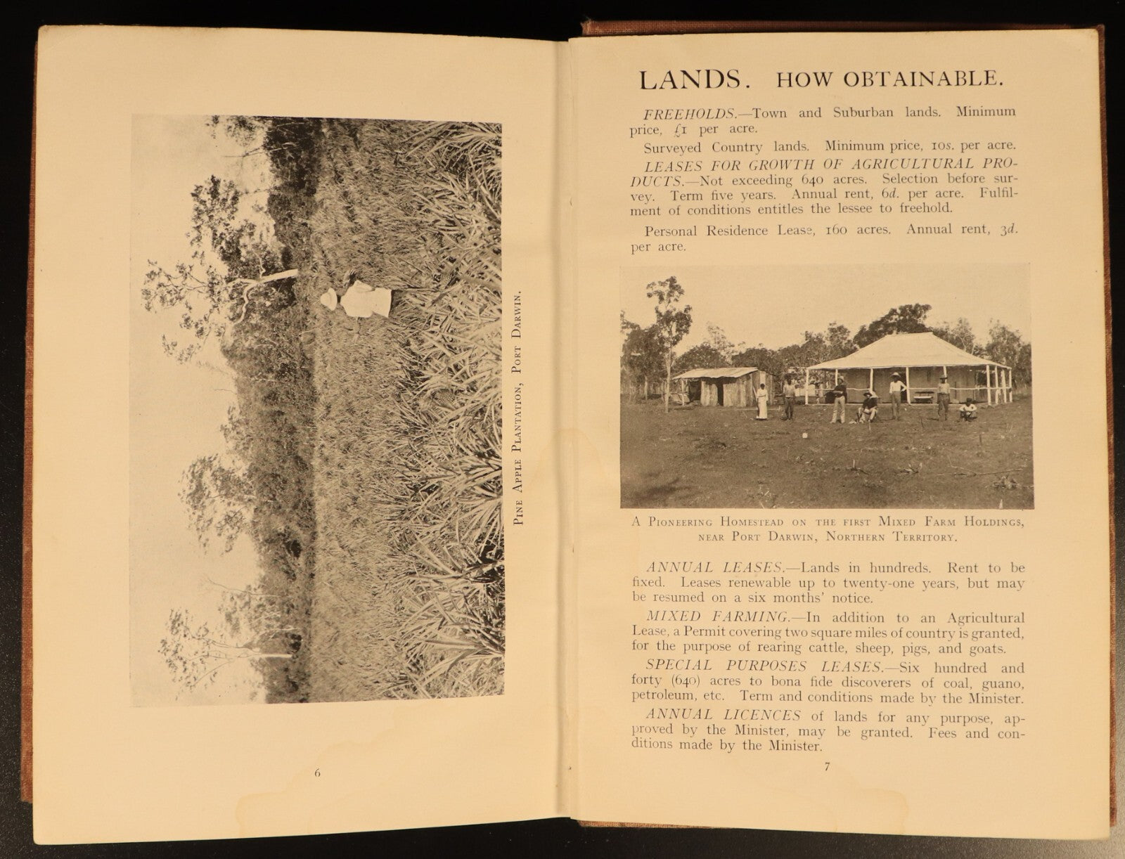 1909 In Australian Tropics by Alfred Searcy Antique Australian History Book