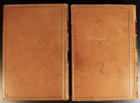 8f951f66-5ddf-450f-9a48-756f9ee9c1ff