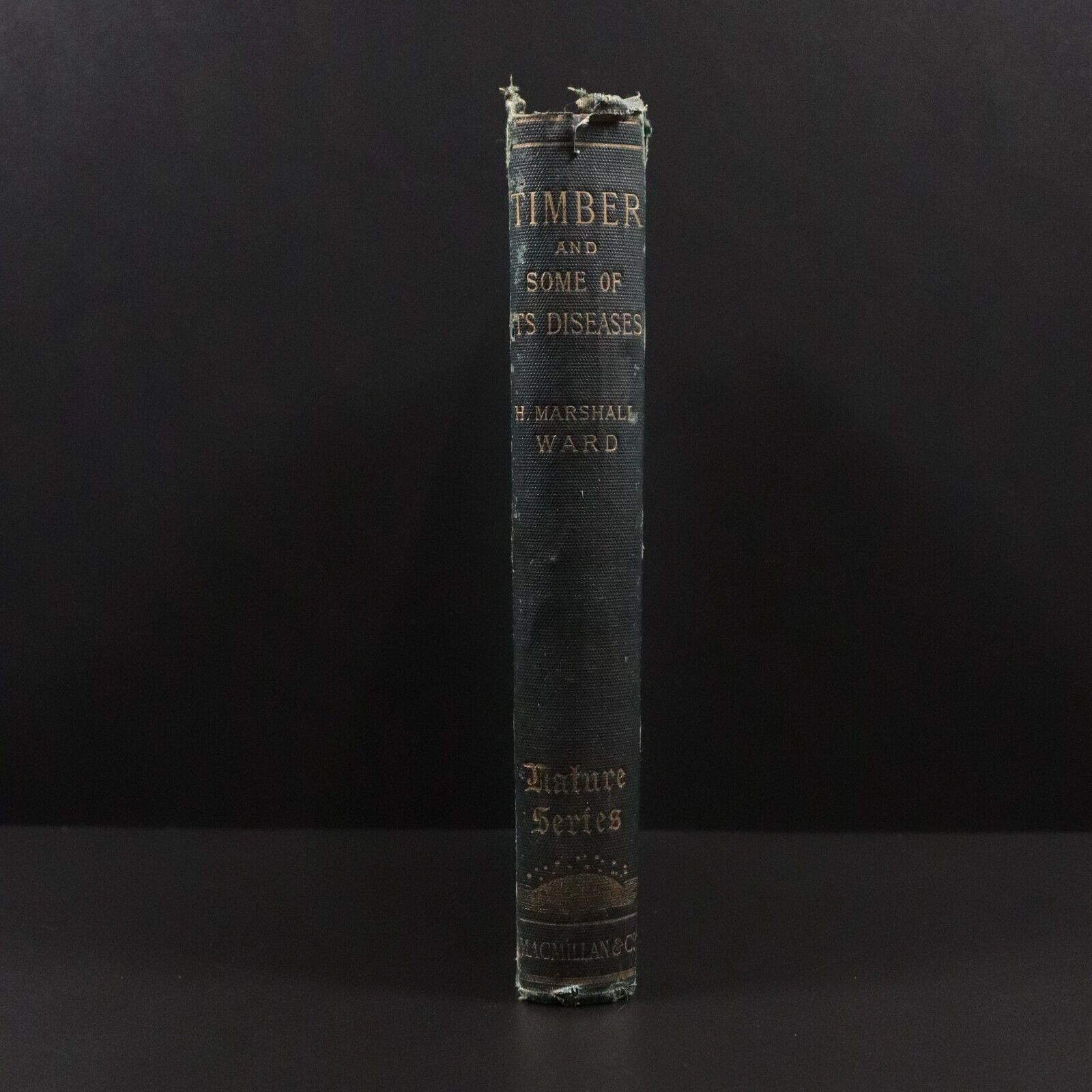 1889 Timber & Some Of Its Diseases Antique Reference Book by H. Marshall Ward