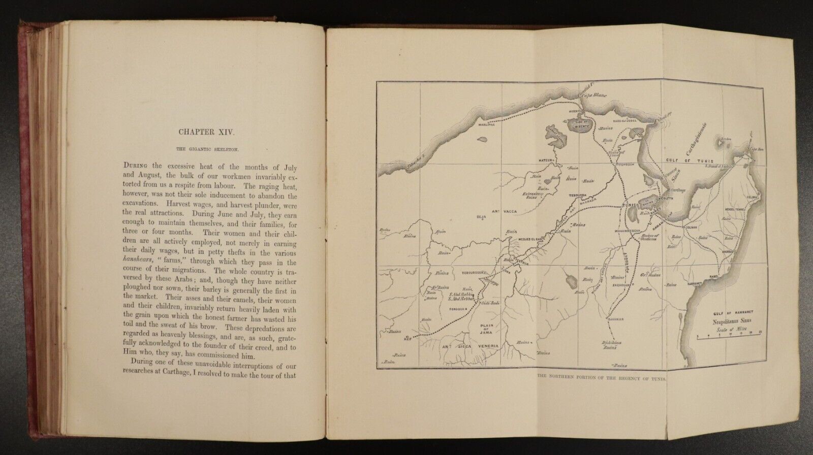 1861 Carthage & Her Remains by Dr N. Davis Antiquarian Exploration Book 1st Ed