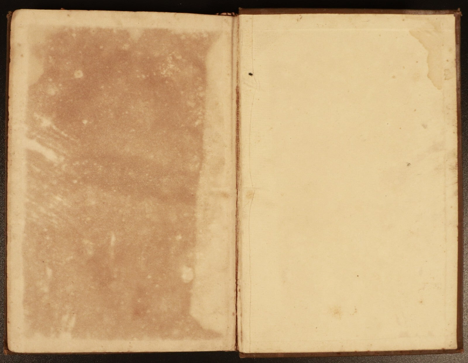 9079f09b-f5b0-446a-aadf-06cde7ee4d01
