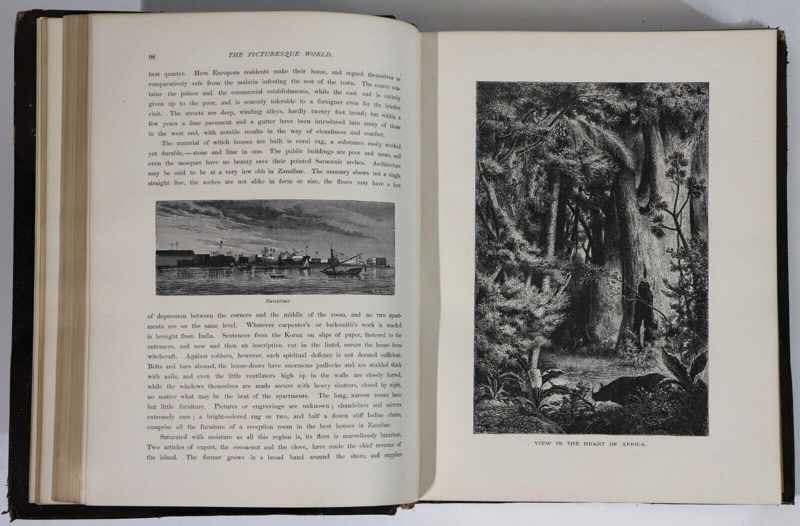 1878 2vol Picturesque World Scenes In Many Lands Antiquarian Book Set Engravings