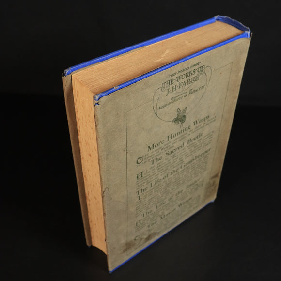 91c54920-c9c2-4dcf-8881-f9df00c1663c