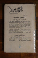 91cf3561-7677-4240-858f-f2a430dbea5a