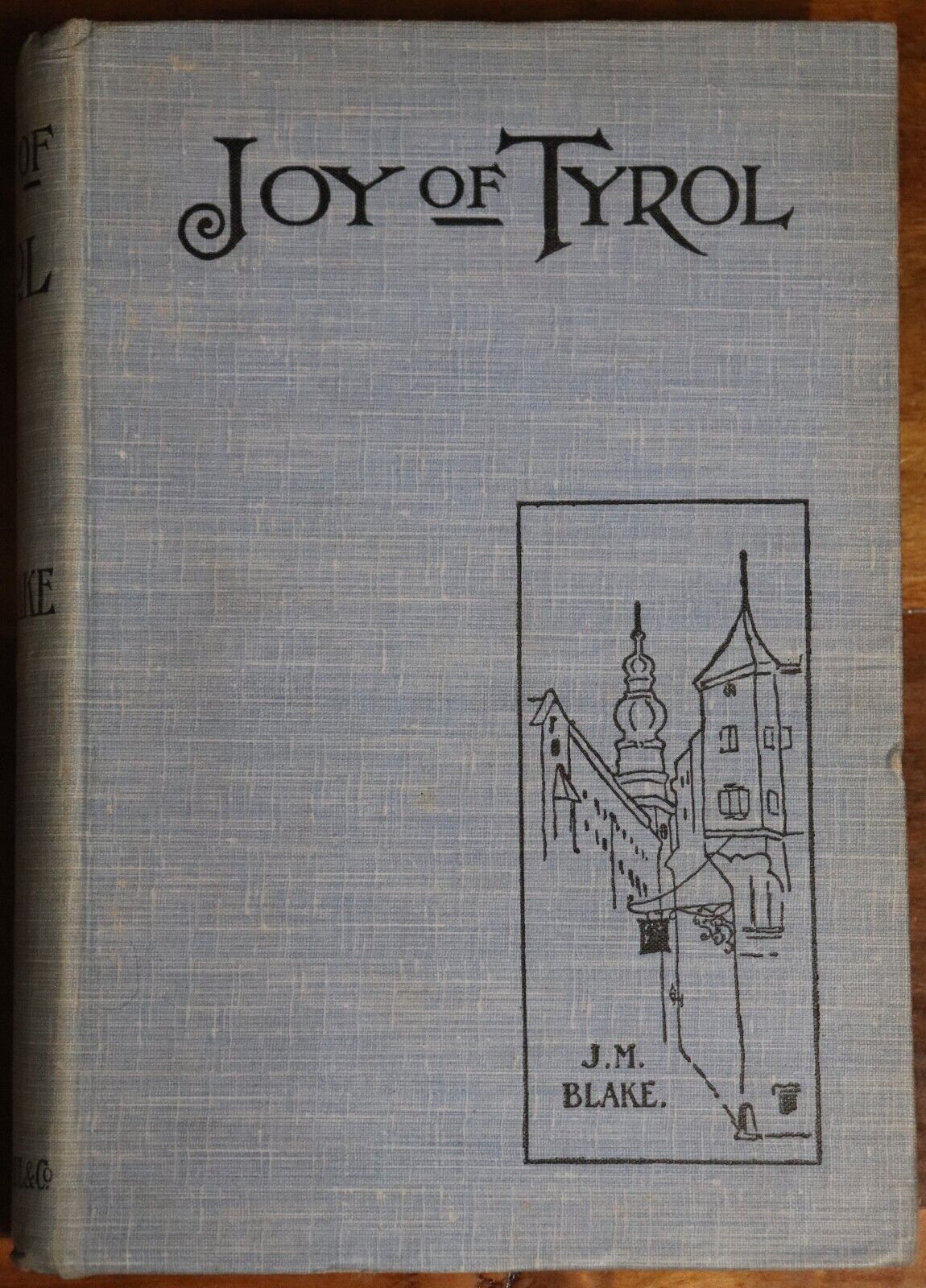 1910 Joy Of Tyrol by JM Blake Antique Travel Book Illustrated Austria Italy