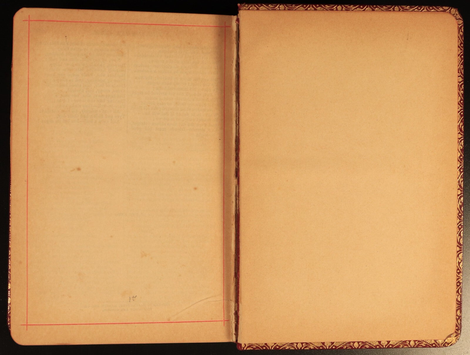 c1905 The Poetical Works Of Thomas Moore Illustrated Antique Irish Poetry Book