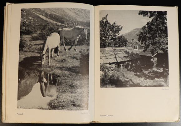 9499aa9d-6962-411f-8013-df213f992585