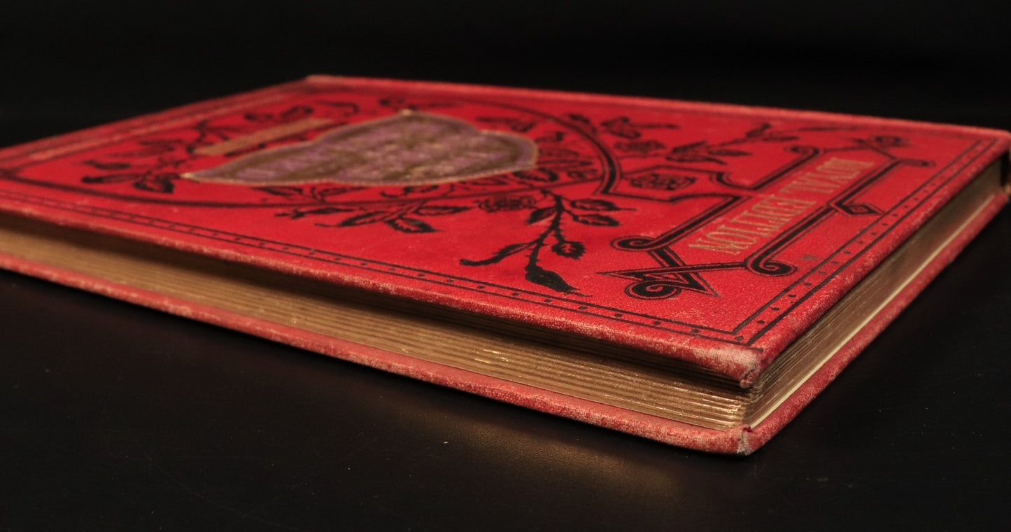 955b07ad-9bcc-41ed-8f7c-bd98e3121bc5