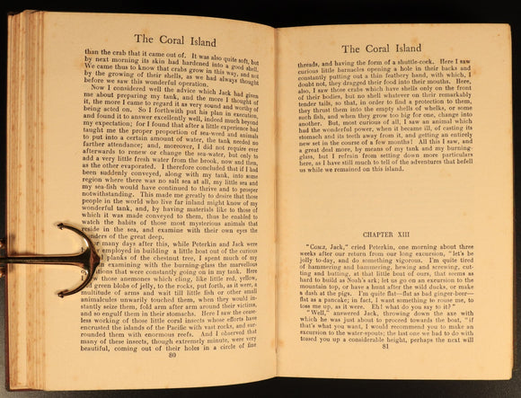 The Coral Island by R.M. Ballantyne c1920 Antique Scottish Fiction Book