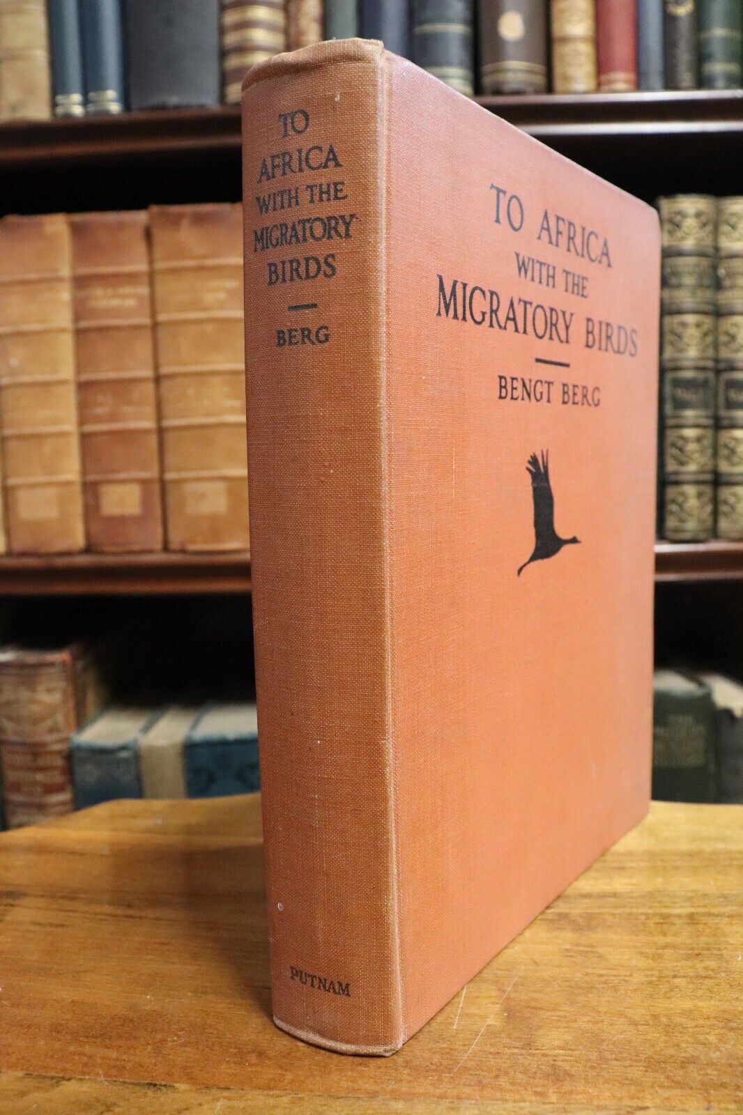 1930 To Africa With The Migratory Birds Antique Natural History Reference Book