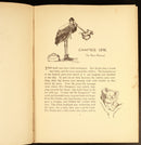 1942 The Complete Adventures Of Blinky Bill Vintage Australian Childrens Book-6