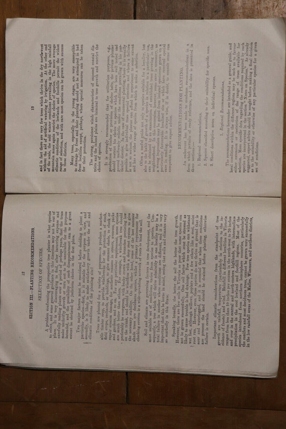 1945 Selection Propagation Planting Of Trees In Victoria Australian History Book