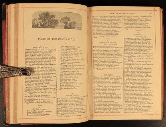 c1885 The Poetical Works Of William Wordsworth Antique Illustrated Poetry Book