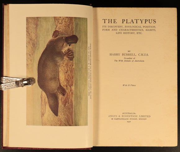 1927 The Platypus by Harry Burrell Australian Natural History Book 1st Ed