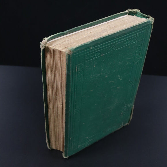 1882 The Dog Crusoe & His Master by RM Ballantyne Antique Adventure Fiction Book