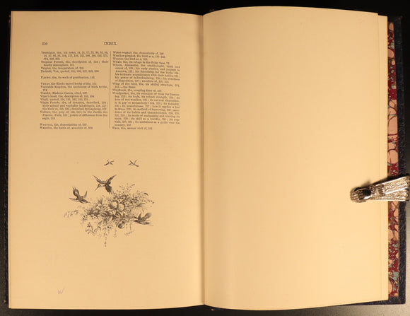 The Bird by Jules Michelet & Giacomelli 1895 Antique Natural History Book Gilt