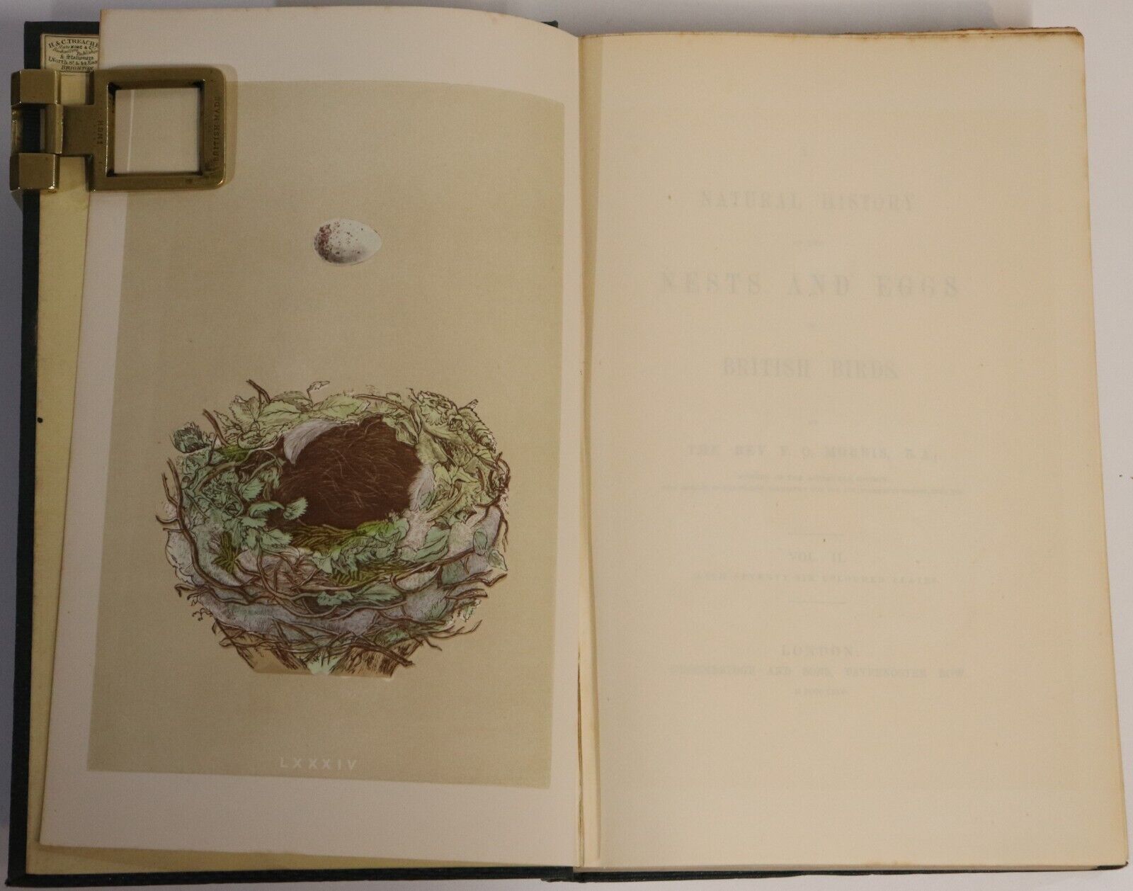 1864 3vol Nests & Eggs Of British Birds by F.O. Morris Antiquarian Book Set