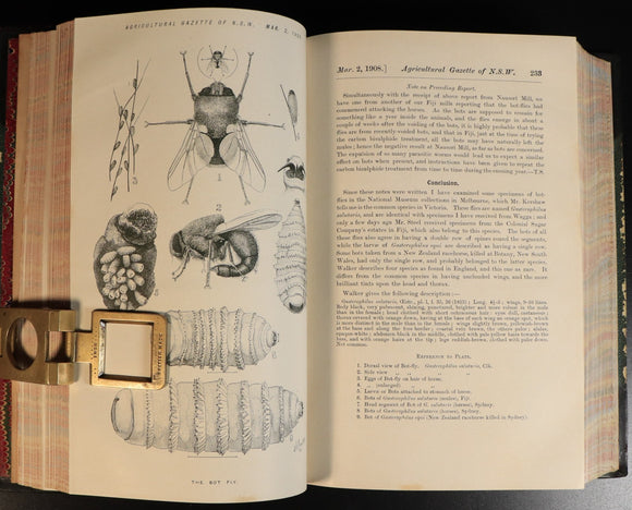 9df259b6-4cb6-4d8b-8a67-d7f251b91d04