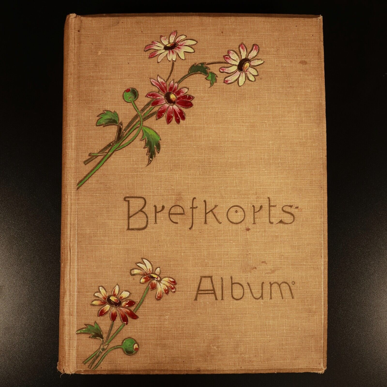 1902 Antique Swedish Brefkorts Postcard Album 146 Postcards & Photos Included