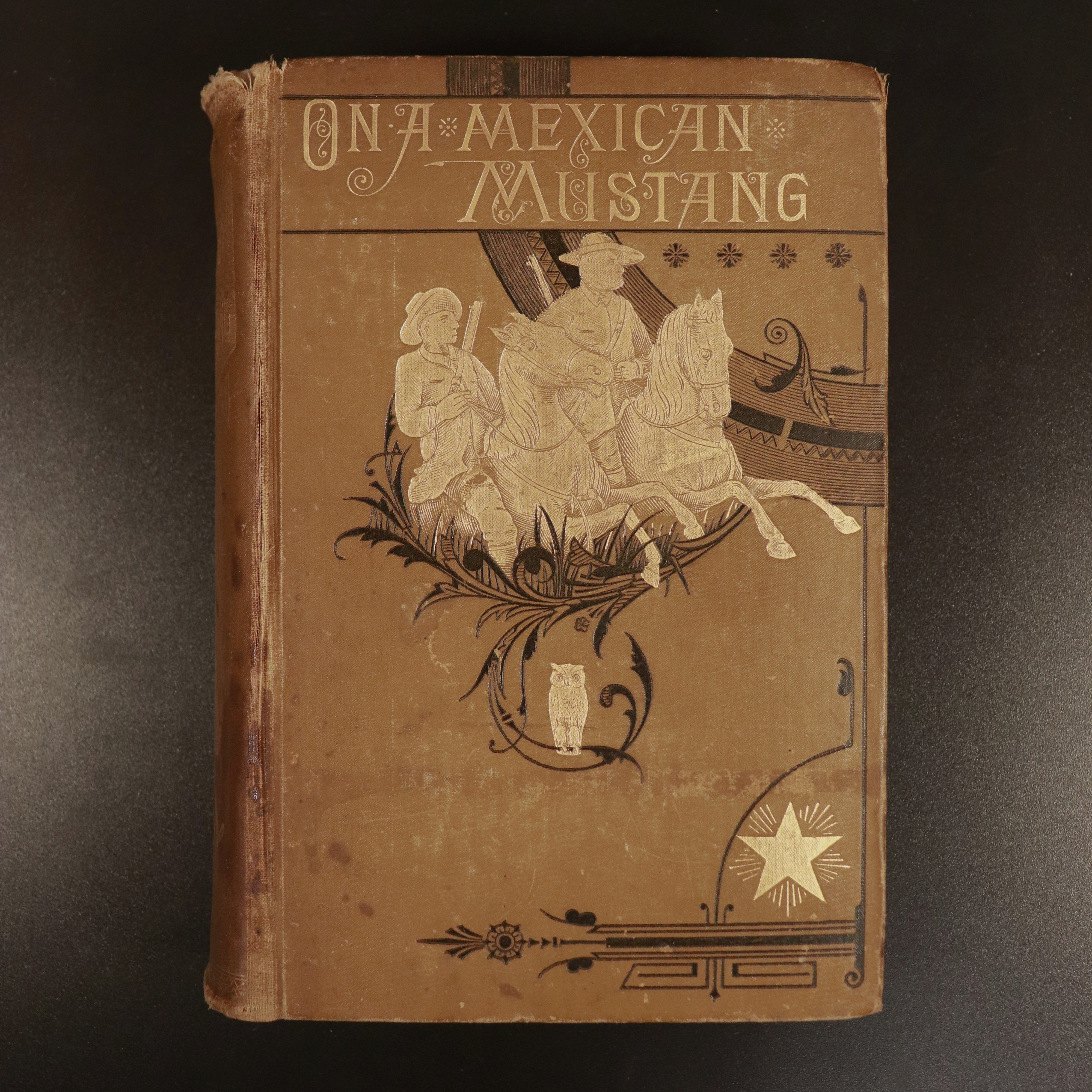 1883 On A Mexican Mustang by Alex E. Sweet Antique American Fiction Book 1st UK