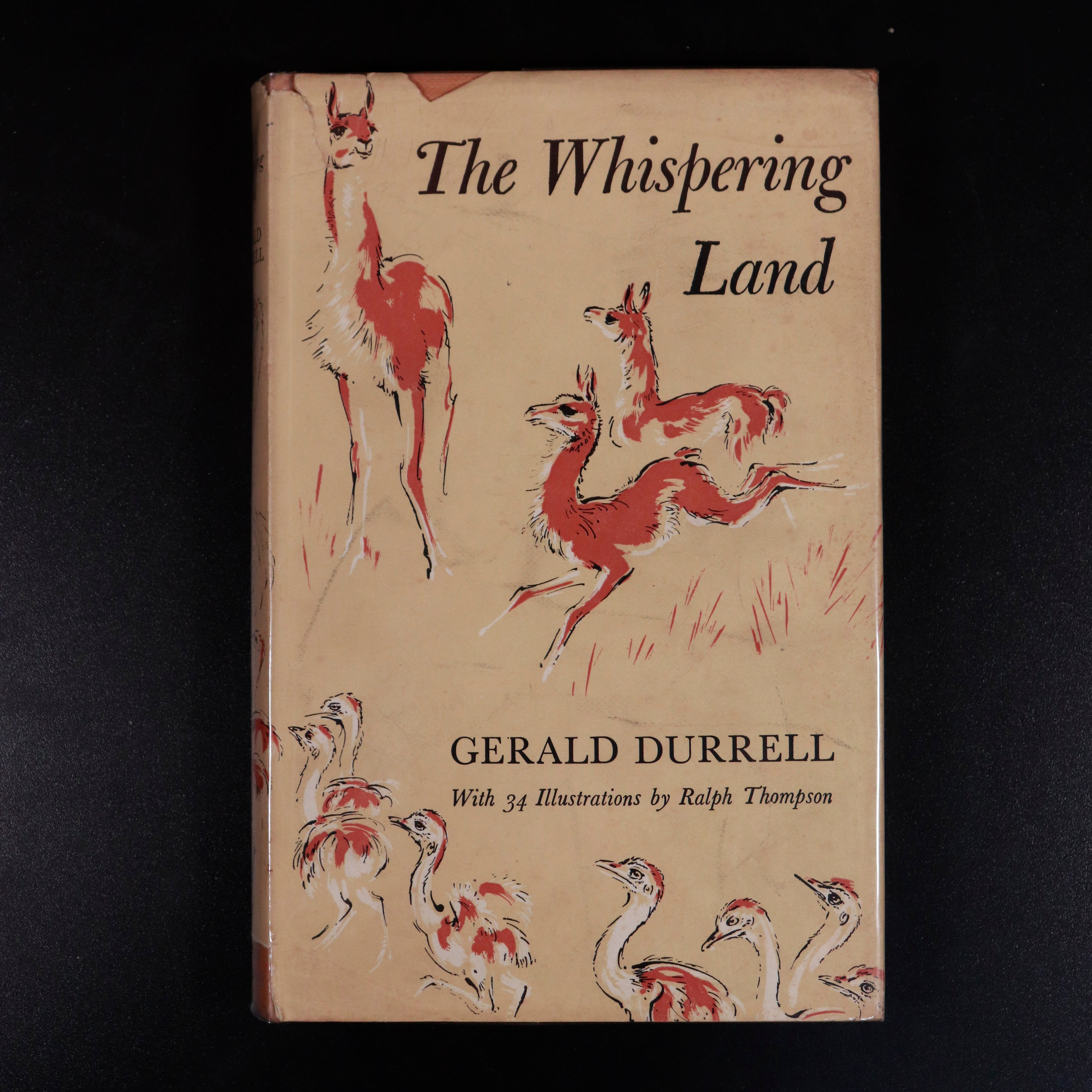 1961 The Whispering Land by Gerald Durrell South American Travel Book Patagonia