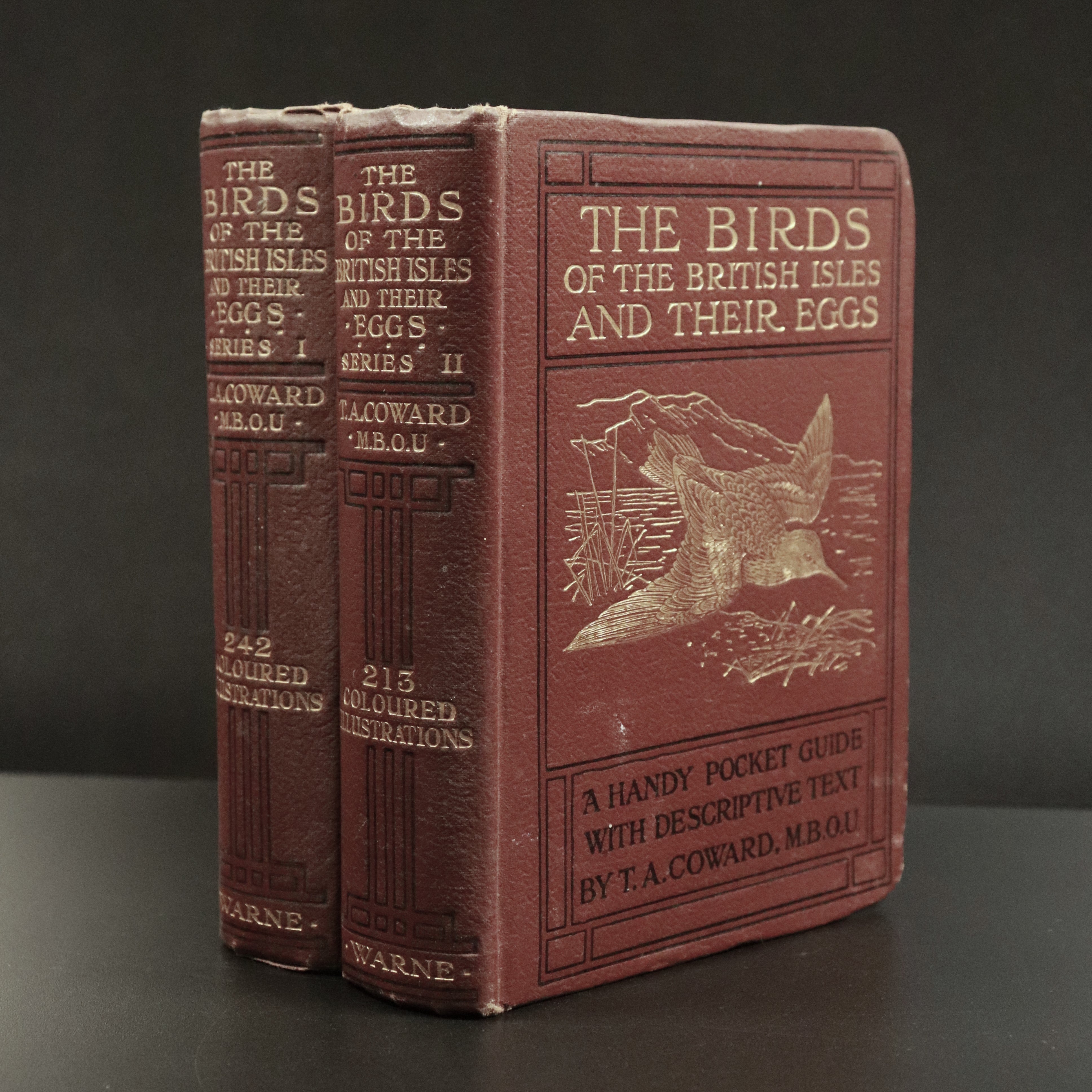 1925 2vol The Birds Of The British Isles & Their Eggs Antiquarian Book Set