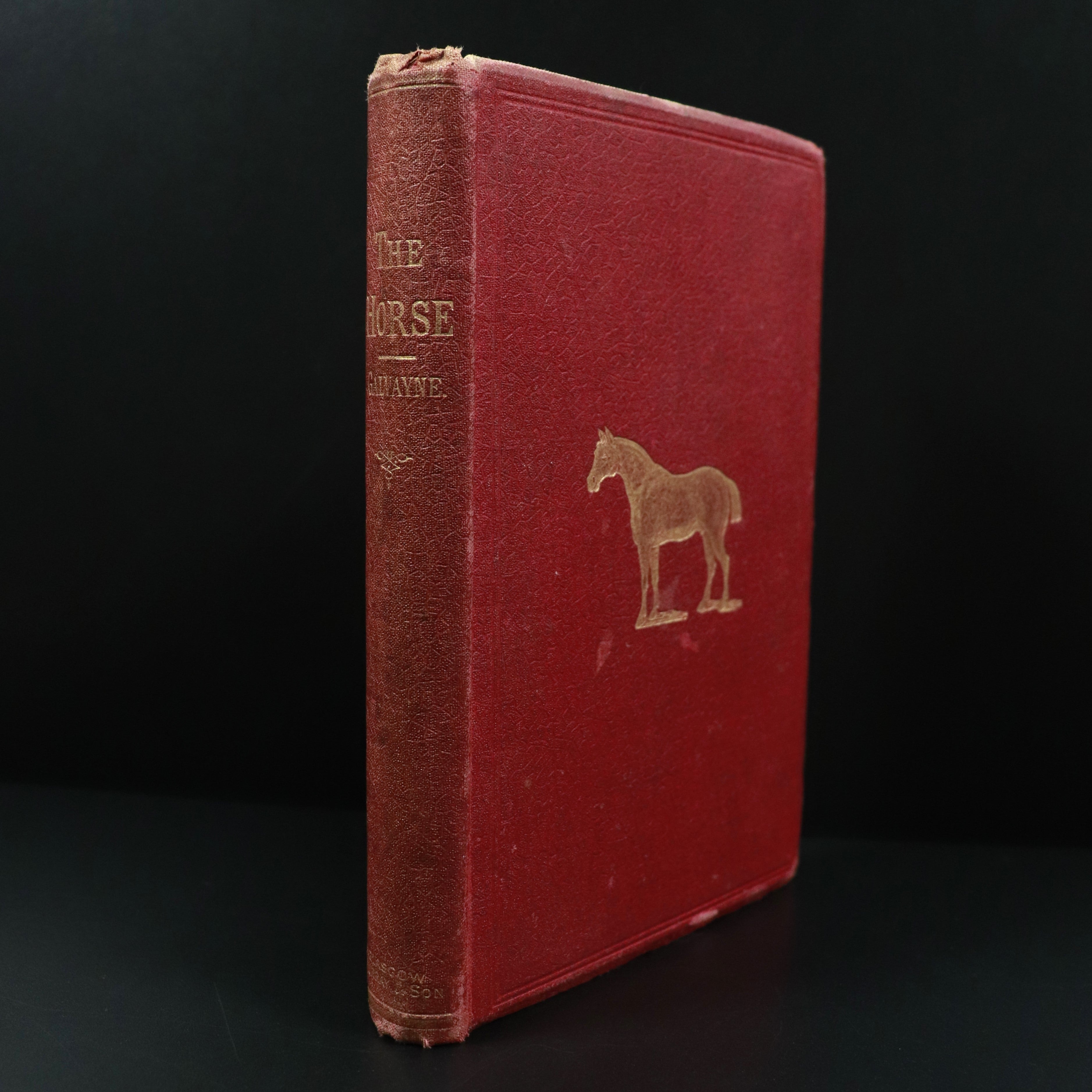 1888 The Horse: Taming & Training by Sydney Galvayne Antiquarian Reference Book