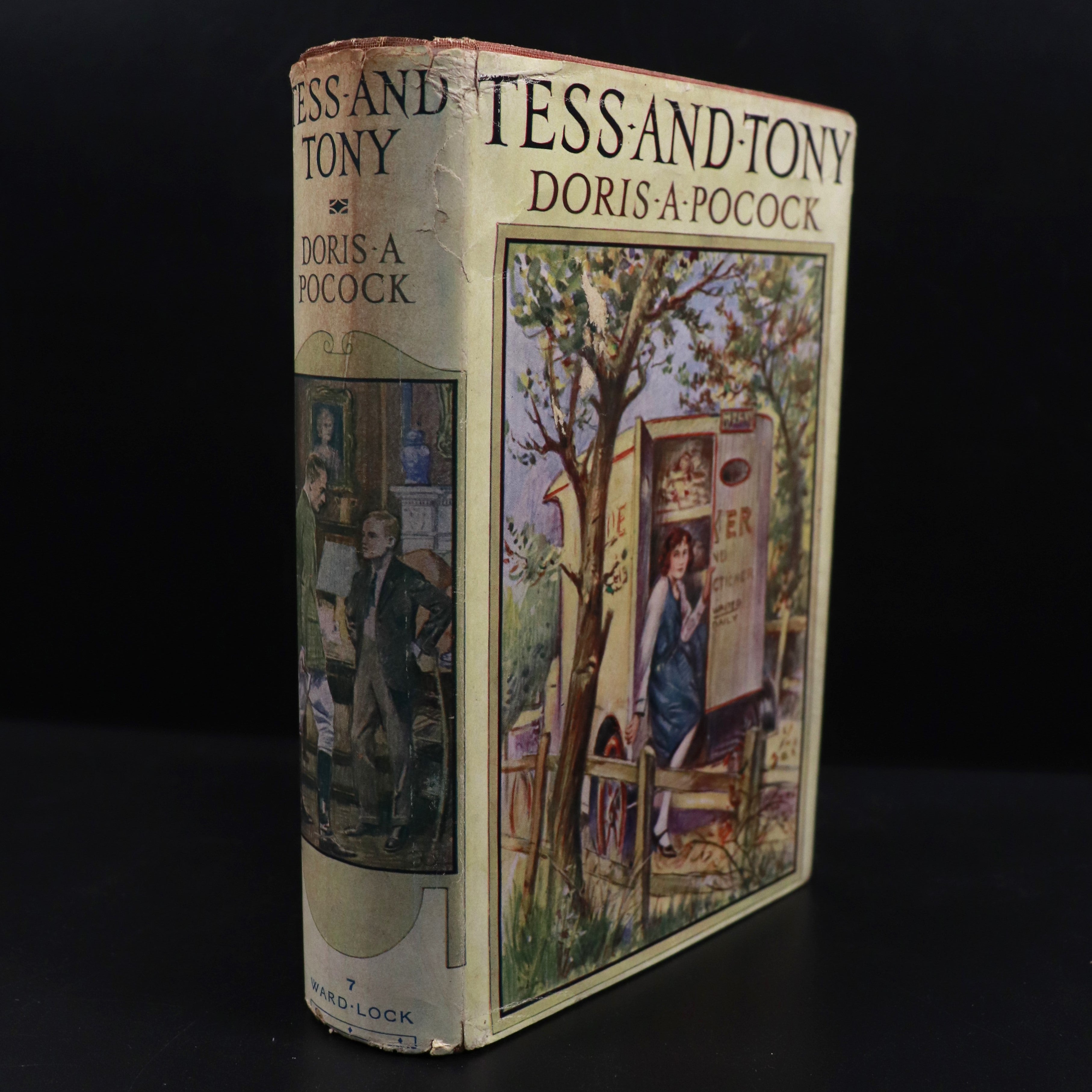 c1925 Tess & Tony by Doris A. Pocock Antique British Childrens Fiction Book